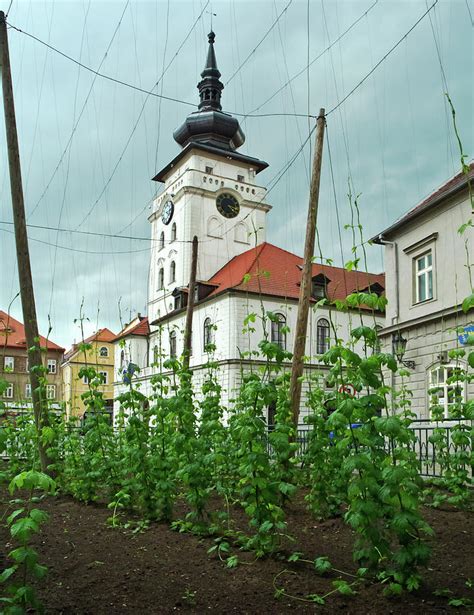 Zatec Town Photograph By Vaclav Mach