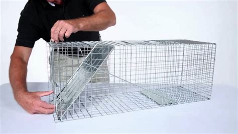 How to trap a raccoon in your house. How to Set: Havahart® Large 1-Door Trap Model #1079 for ...