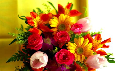 Trova immagini fiori gratis ✓ scarica immagini di fiori da scaricare ✓ scegli nuove immagini nuove di fiori hd da utilizzare per i tuoi progetti. Immagini Belle di Fiori - 47 Foto | Sfondi HD | Bonkaday.com