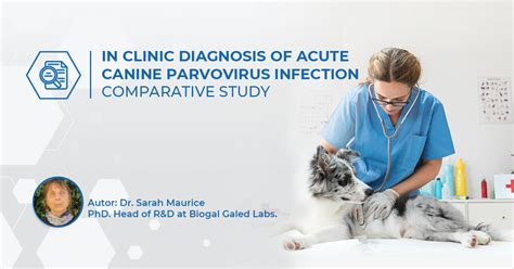 In Clinic Diagnosis Of Acute Canine Parvovirus Infection Biogal Labs