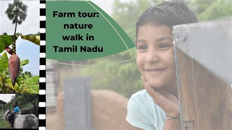 Farm Tour In The Beautiful Land Of Tamil Nadu Youtube