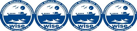 Wise Course Cornwall Seal Group Research Trust