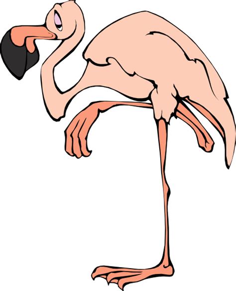 Cartoon Flamingo Clip Art At Vector Clip Art Online