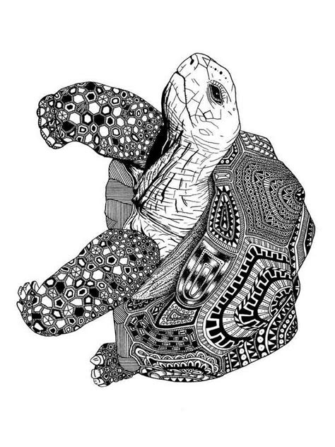 Turtle Coloring Pages Hard