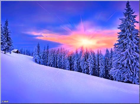 Winter  Wallpaper Hd Download Nature Snowing Winter Animated S