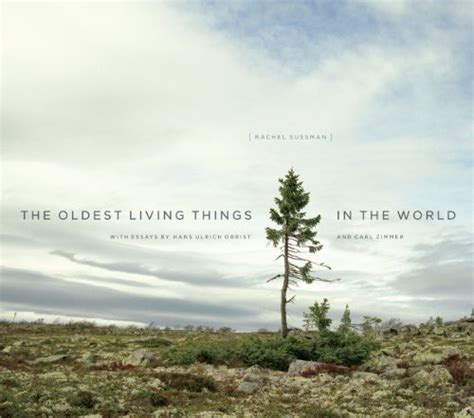 The Oldest Living Things In The World A Book Featuring Photos Of