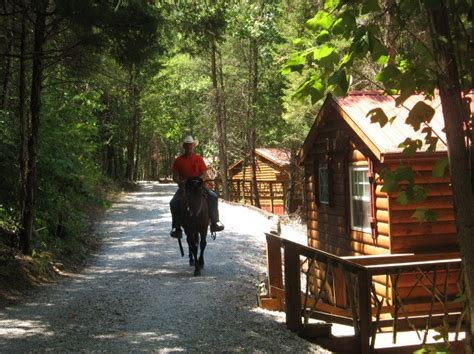 Laced with cascades, gorges, waterfalls, streams and lush stands of virgin hardwood timber, the park beckons those who enjoy nature at her finest. Cute Clean Dog Friendly Cabin for Rent in Fall Creek Falls ...