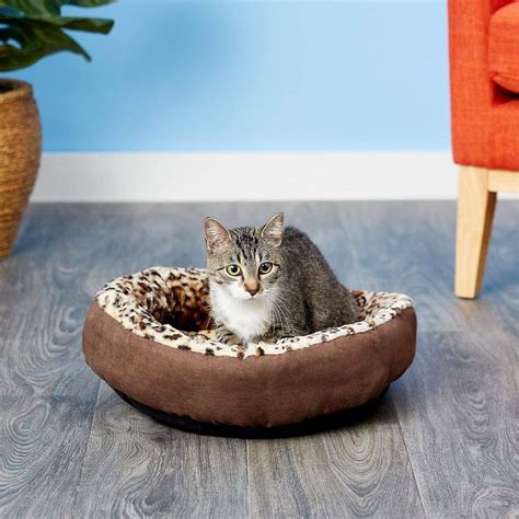 10 Best Cat Beds 2023 Reviews And Top Picks Hepper
