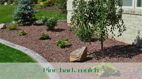 Mulching Types Of Mulch And Features Best Tips 1 ⭐️
