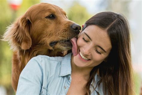 Cómo Cuidar A Un Perro De Raza Grande O Pequeña Sin Morir En El