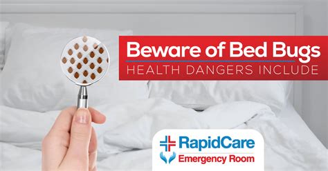 Bed Bug Bite Dangers Rapidcare Emergency Room