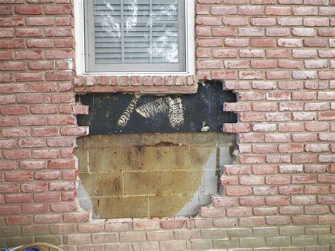 Honey bees are valuable pollinators. Bee Remover Posts What He Found After Removing The Bricks ...
