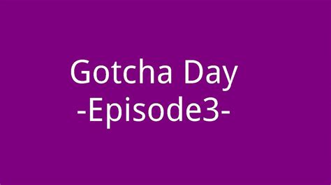 Gotcha Day Episode3 Youtube