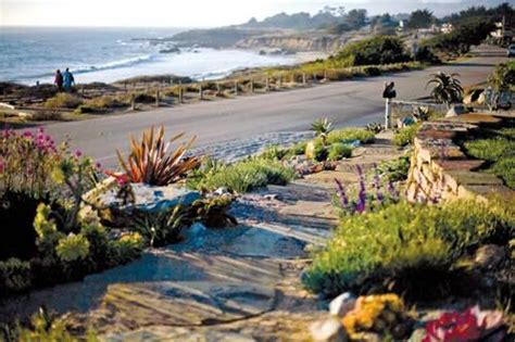 They took our dog's picture for their photo album. Cambria Shores Inn, Cambria, CA - California Beaches