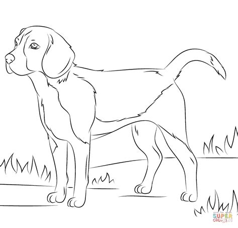 45 Realistic Cute Dog Coloring Pages Background Colorist