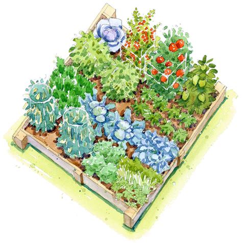 8 Free Vegetable Garden Plans To Bring A Harvest To Your Backyard