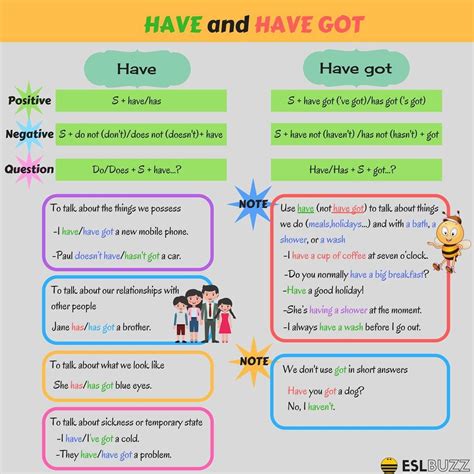 Learn The Use Of Have Got And Have In English English Grammar For Kids