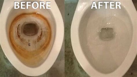 How To Remove Hard Water Stains In A Toilet Naturally Artofit