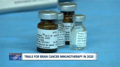 Brain Cancer Immunotherapy Developed At Roswell Park Set For Clinical