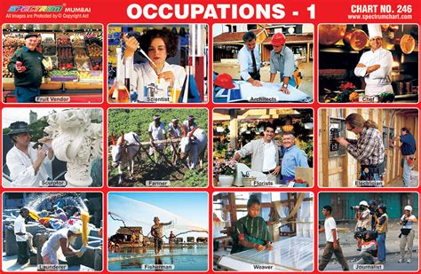 Different Occupations Chart