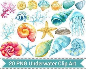 Underwater Watercolor Frame Sea Life Border Nautical Frame Etsy