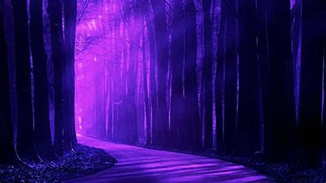 Free Download Landscape Purple Forest High Quality Background Pictures