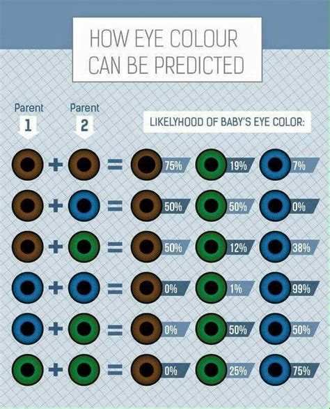 Eye Colour Genetics How To Apply Eye Color Understanding 8 Best Eye