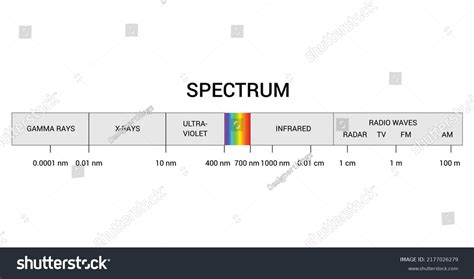 Spectrum Wavelength Visible Spectrum Color Range Stock Vector Royalty
