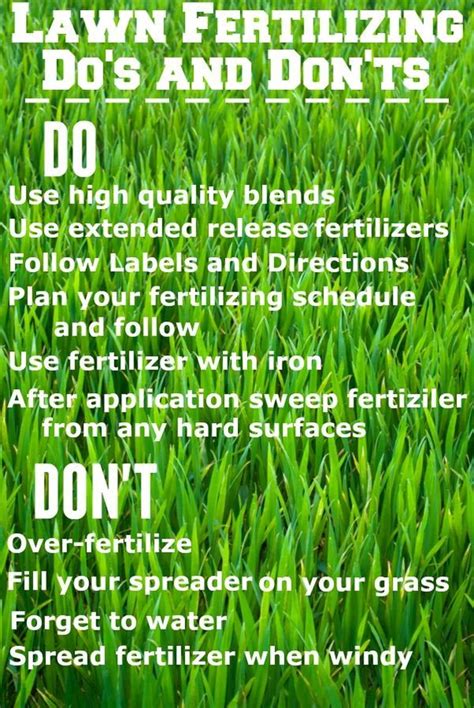 Basics Of Fertilizing Your Lawn Garden Care Lawn Lawn Decor