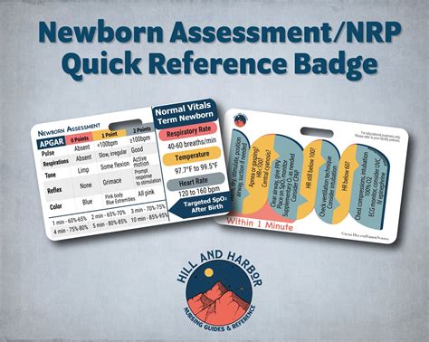 Newborn Assessment And Resuscitation Nrp Labor And Delivery Etsy In