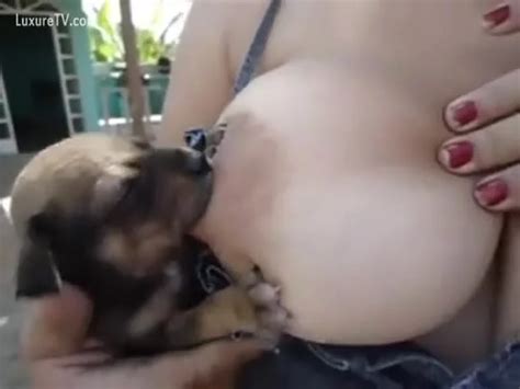 Bitch Is Breastfeeding Puppies