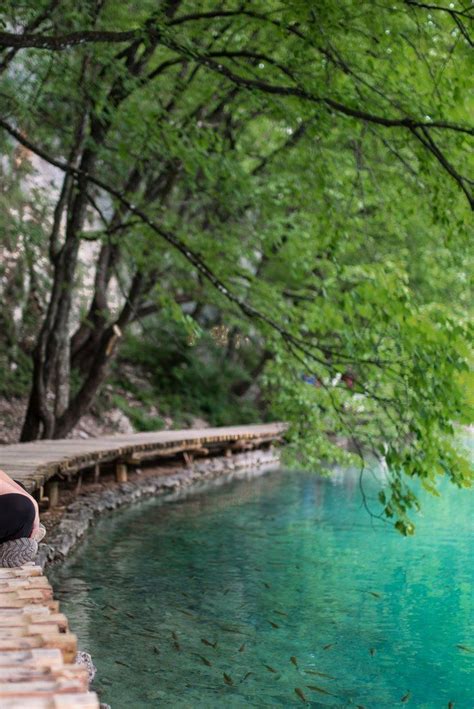 Les Lacs De Plitvice En Croatie Cascades Et Eau Bleue Turquoise