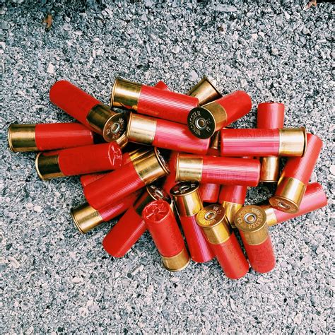 20 ga 20 gauge buckshot sizes shotgun shells explained types of ammo birdshot buckshot slugs