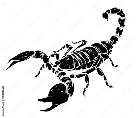 Black Silhouette Vector Scorpion Tattoo Ornate Exquisite Scorpion Image Sign Horoscope Stock