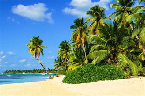 5 Finest Affordable Caribbean Islands You Can Live On Caribbean