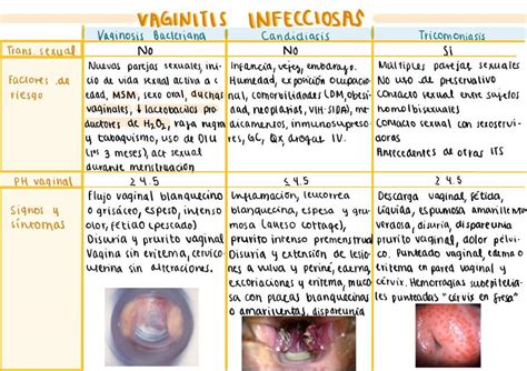 Vaginitis Infecciosas Estudimed Udocz