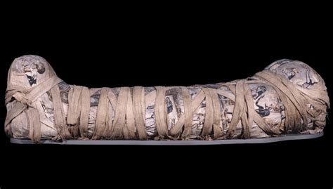 Mummy Of Cleopatra Egypt Museum