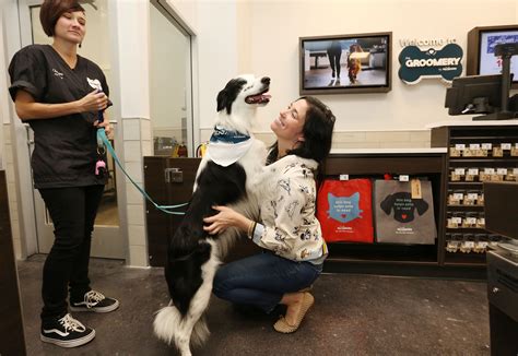 How Much Do Dog Groomers At Petsmart Make