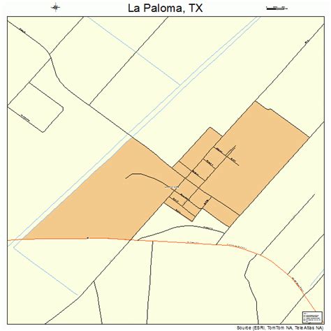 La Paloma Texas Street Map 4841416