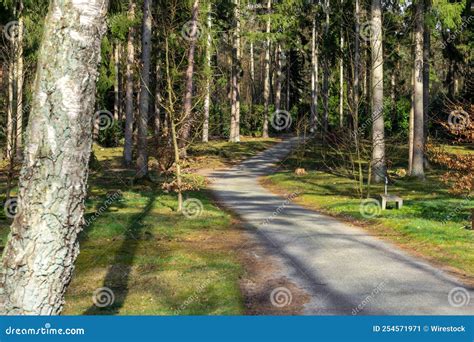 Path In A Tranquil Park Full Of Trees Stock Image Image Of Grass
