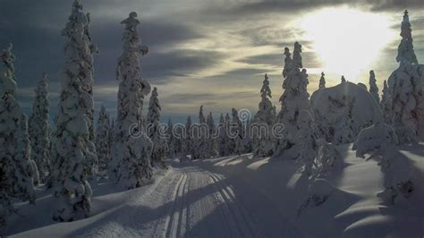 Winter Wonderland In Hedmark County Norway Stock Image Image Of