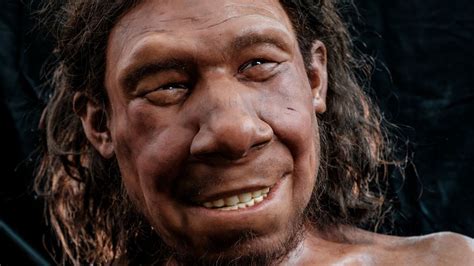 Lumpy Tumor Shown On Facial Reconstruction Of Neanderthal Who Lived On