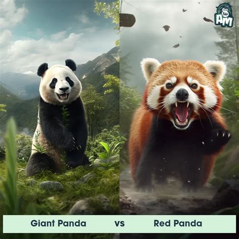 Giant Panda Vs Red Panda Ai Matchup Simulation And Key Differences
