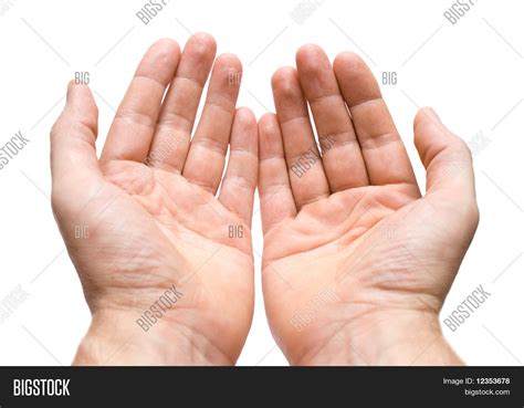 Two Hands Palms Image And Photo Free Trial Bigstock