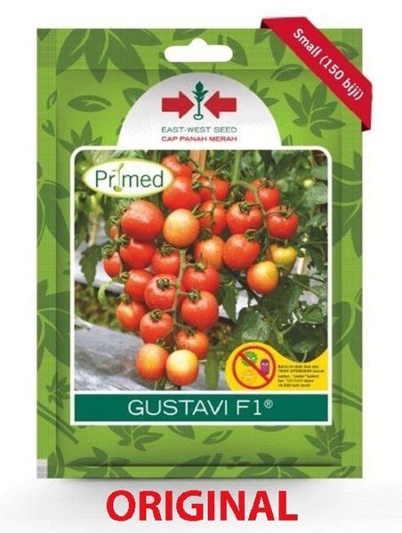 Jual Benih Tomat Gustavi F Isi Biji Bibit Cap Panah Merah Di