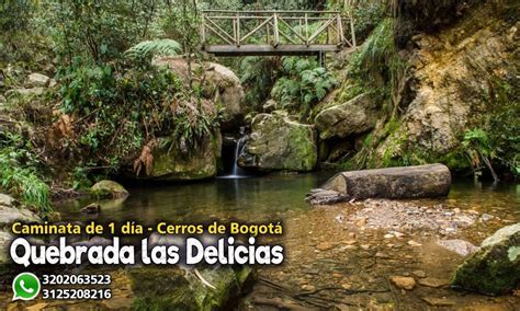 Caminata Quebrada Las Delicias 2023 Cerros Orientales De Bogotá