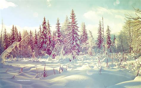 Winter Wonderland Desktop Background 54 Images