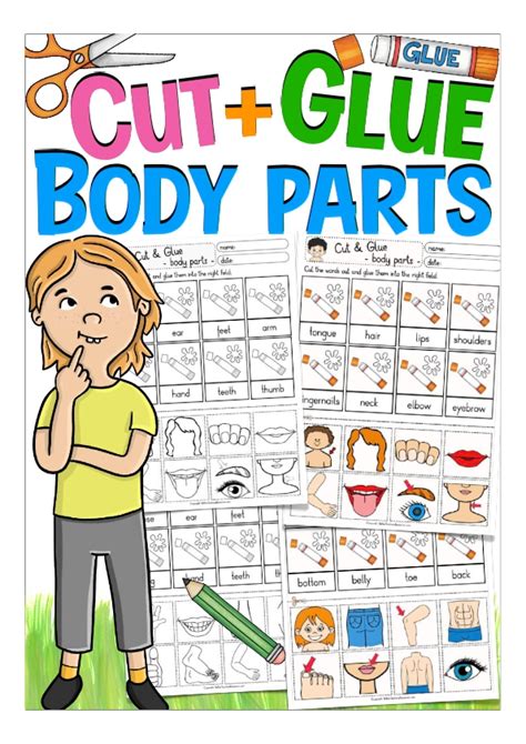 Cut & Glue: Body Parts by Teach Simple