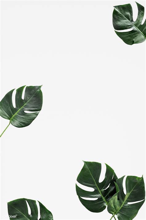 Aesthetic Leaves White Background Flutejinyeoung