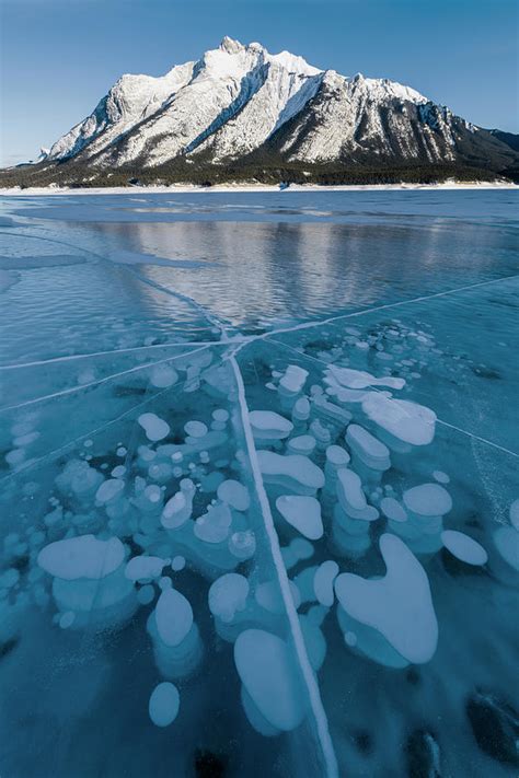 Methane Bubbles Frozen In Ice Below Mt Photograph By Panoramic Images